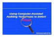 Using Computer-Assisted Auditing Techniques to  · PDF fileUsing Computer-Assisted Auditing Techniques to Detect ... Financial Crime Investigator ... application • Data analysis