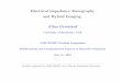Electrical Impedance Tomography and Hybrid Imaging  · PDF fileElectrical Impedance Tomography and Hybrid Imaging ... July 15, 2016 Partially supported ... (RPT) operators P(x;D)