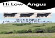 Lot 1 Lot 6 Lot 21 Annual Hi Low Angus Online · PDF file4 th Annual Hi Low Angus Online Auction March 27 - 29, 2017 Open House ... BASIN PRIMROSE LADY 5287 ... Kathie researched and