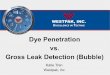 Dye Penetration vs. Gross Leak Detection (Bubble) · PDF filepenetration test. Gross Leak Detection & Dye Penetration. Conclusions Dye Penetration •Channel leaks •Porous packaging