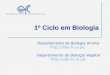 1º Ciclo em Biologia - · PDF fileOpções de Geologia Estratigrafia e Geoistória Petrologia Sedimentar Paleontologia Petrologia Ígnea DISCIPLINAS 6 6 6 6 – Prova de Português