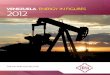 VENEZUELA ENERGY IN FIGURES 2012 - Instituto de …servicios.iesa.edu.ve/portal/CIEA/Energy_In_Figures_2012.pdf · venezuela energy in figures the oil and gas sector 2012. 2. 3 contents