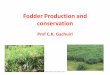Fodder Production and conservation - Garden Veterinary ... Production and conservation.pdf · Fodder Production and conservation Prof C.K. Gachuiri KVA-SEVET-Thika-Nov-2013 1 . Definition