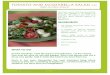 TOMATO AND MOZZARELLA SALAD · PDF fileTOMATO AND MOZZARELLA SALAD WITH FRESH GADREN GREENS The best way to eat tomatoes fresh from the garden is as simple as