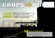 NEW ICE CONTRACTS STILL SITTING ON RUNWAY · PDF fileProud partner of the Saskatchewan Roughriders Bigger yields, better proﬁ ts, serious bragging rights. Nodulator® XL inoculant