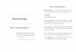 3. Sprachwissenschaft Morphologie - Universität Leipzighome.uni-leipzig.de/heck/morph07/webintro.pdf · Beispiel 3; morphologisch: Das Pluralallomorph im Deutschen im Kontext von