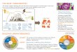 THE ISSUE: URBANISATION - World Vision International Urban Resilience.pdf · THE ISSUE: URBANISATION The world is rapidly urbanising, ... Approaches to Building Urban Resilience The