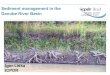 Sediment management in the Danube River · PDF fileSediment management in the Danube River Basin ... Ship traffic causes waves, which can disturb the reproduction habitats of fish,