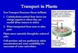 Transport in Plants - Nicholls State University in... · Transport in Plants Two Transport Processes Occur in Plants 1. Carbohydrates carried from leaves (or storage organs) to where