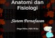 SISTEM PERNAFASAN - Anatomi & Fisiologi | Just another …ika121.weblog.esaunggul.ac.id/.../02/Anatomi-dan-Fisiolo… · PPT file · Web viewAnatomi dan Fisiologi Sistem Pernafasan