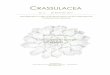 · PDF fileCRASSULACEA No.5 29. September 2017 ISSN 2296-1666 3 Table of Contents Echeveria corallina Alexander, 1941