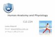 Human Anatomy and Physiology - KSU Facultyfac.ksu.edu.sa/sites/default/files/4.bloodlymphatics.pdf · •Occurs in red bone marrow-‐(ﬂat bones: skull, ribs, pelvis and sternum