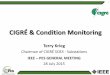 CIGRÉ & Condition  · PDF fileCIGRÉ & Condition Monitoring Terry Krieg ... Generation, Transmission, ... Obtaining value from on -line monitoring