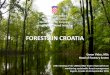 FORESTS IN CROATIA - UNECE Homepage · PDF fileREPUBLIC OF CROATIA Ministry of Agriculture Direcotrate for Forestry, Hunting and Wood Industry FORESTS IN CROATIA Goran Videc, MSc Head