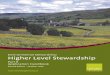 Environmental Stewardship Higher Level Stewardshipwebarchive.nationalarchives.gov.uk/20100429120916/http:/www... · Environmental Stewardship in the wider context Grants to statutory