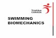 RTC swim biomechanics -   · PDF fileWHAT IS SWIM TECHNIQUE? Why can two people look different when swimming but go the same speed? Why do some coaches emphasize one part of