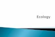 Define ecology. List the levels of ecological organization ...fallriverschools.org/JPacheco/Ecology - Biology.pdf · List the levels of ecological organization from largest to smallest