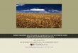 Case Studies on Private Investment in Farmland and ... · PDF filecase studies on private ... case studies on private investment in farmland and ... case studies on private investment