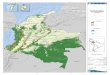 W Mapa de Bosque No Bosque PROV IDENC A Colombia- …capacitacion.siac.ideam.gov.co/SIAC/home/PDF/SBQ_SMBYC_BQNBQ… · Tunja Yopal Neiva Cúcuta Ibague Quibdó ... Mapa de Bosque