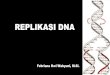 REPLIKASI DNA - ibd141.weblog.esaunggul.ac.idibd141.weblog.esaunggul.ac.id/.../02/Replikasi-DNA-Pertemuan-Ke-8.pdf · •REPLIKASI adalah perbanyakan diri menghasilkan produk baru