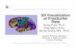 3D Visualization of FreeSurfer Data - · PDF file-1-Pujol S et al. National Alliance for Medical Image Computing 3D Visualization of FreeSurfer Data Sonia Pujol, Ph.D. Silas Mann,