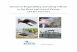 Review of illegal killing and taking of birds in Northern ... · PDF fileGoldthorpe (Fauna & Flora International); Johannes Jansen, Wouter Mertens and Wouter ... Central Veterinary