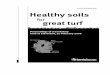 Healthy Soils for Great Turf - Department of Agriculture ...era.daf.qld.gov.au/2061/1/Healthy_Soils_for_Great_Turf-sec.pdf · Healthy soils for great turf Proceedings of a workshop