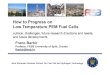 How to Progress on Low Temperature PEM Fuel · PDF fileHow to Progress on Low Temperature PEM Fuel Cells outlook, challenges, future research directions and needs, and future developments