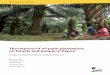 The impacts of oil palm plantations on forests and people ... · PDF fileThe impacts of oil palm plantations on forests and people in ... Merauke (SKP-Merauke ... Total 2,540,721
