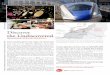 Discover the Undiscovered - Japan National Tourism ... · PDF filebeauty of Japan aboard one of the world’s most advanced high- ... Toyama Bay Sushi; world-famous taiko drummers
