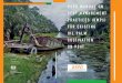 RSPO Manual on Best Management Practices (BMPs) for ... · PDF filerspo manual on best management practices (bmps) for existing oil palm cultivation on peat supported by the british