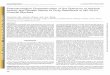 Full Text (PDF) - Molecular Pharmacologymolpharm.aspetjournals.org/content/molpharm/90/3/188.full.pdf · ABBREVIATIONS: BC035, N-[(5-bromothiophen-2-yl)methyl]adamantan-1-amine; CPE,
