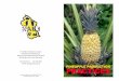 For further information contact: Department of ...businessafrica.net/africabiz/pineapple_booklet.pdf · For further information contact: Department of Horticulture National Agricultural