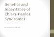 Genetics and Inheritance of Ehlers-Danlos Syndromes Belmont... · rupture - median life span ... •Type-III collagen is in bone, cartilage, dentin, tendon, ... (LP) to hydroxylysylpyridinoline