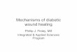 Mechanisms of diabetic wound healing - Saint Louis …starklab.slu.edu/PhysioLab/DiabeticWoundHealing.pdf · Mechanisms of diabetic wound healing Phillip J. Finley, MS ... •Formation