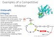 Examples of Competitive Inhibitors - BIOLOGY FOR · PDF fileExamples of a Non-competitive Inhibitor (Allosteric) Strychnine Is a colorless highly toxic alkaloid that causes muscular