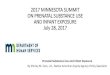 2017 MINNESOTA SUMMIT ON PRENATAL SUBSTANCE USE AND INFANT ... · PDF file2017 MINNESOTA SUMMIT ON PRENATAL SUBSTANCE USE AND INFANT EXPOSURE July 28, 2017 Prenatal Substance Use and
