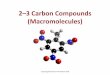 2 3 Carbon Compounds (Macromolecules)msmurraybiology.weebly.com/.../2/5/5/6/25563258/2-3_carbon_compo… · 2–3 Carbon Compounds ... •Carbon Compound = anything that contains