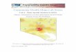 Community Health Maps Lab Series - · PDF fileCommunity Health Maps Lab Series Lab 4 – Basic Spatial Analysis in QGIS Objective –Understand how to do basic spatial analysis with
