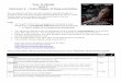 Year 11 Media Unit 1 Outcome 2 – Technologies of ... · PDF fileOutcome 2 – Technologies of Representation ... , turn a romantic comedy into a horror. • Choose a film ... •
