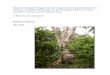 Climate Change Mitigation and Adaptation: Opportunities ... · PDF fileLampung, Indonesia, in front ... Association for their in-kind support. ... Pest and Disease Control Management