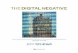 The Digital Negative - Schewe  · PDF fileAdobe, Adobe Bridge, ... Color toning using color curves 204 207 207 213 217 ... I called the book The Digital Negative for a reason