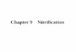 Chapter 9 Nitrification - SNUwemt.snu.ac.kr/lecture 2013-2/env/Ch 9 Nitrification 2013-2.pdf · Nitrification +- The microbiological oxidation of NH 4-N to NO 2 ... - involve sequential