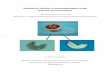 Methods for isolation of entomopathogenic fungi from …orgprints.org/11200/1/11200.pdf · Methods for isolation of entomopathogenic ... soil in the vicinity of the dead host cadaver