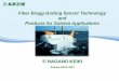 Fiber Bragg Grating Sensor Technology and Products for ... keiki... · PDF fileContent • Corporate Overview • Fiber Bragg Grating Sensor Technology and Products for Subsea Applications