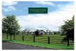 Carman Lodge - Irish Thoroughbred Marketing (ITM) · PDF fileCarman Lodge on c.2.83ha (c.7 acres) Ballymore Eustace, Co. Kildare A most attractive and well appointed contemporary home