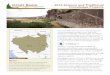 Great Basin LCC 2016 projects folio - Microsoft · PDF fileGreat Basin LCC selected six projects in five categories ... are supporting one traditional knowledge initiative. ... approach