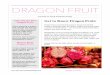 Dragon Fruit - Nutrition Education Store · PDF fileGet to Know Dragon Fruit: Dragon fruit is commercially grown in South and Central America, Southeast Asia, and Israel. Dragon fruit