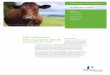Milk Adulteration: Detecting Species-Specific Proteins by ... · PDF fileAdulteration of sheep milk by cow milk is detected by the different masses of both the A and B forms of lactoglobulin