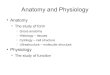 Anatomy and Physiology - Dr. Michael Belanichbelanich.weebly.com/uploads/1/0/7/5/10758212/bio130_introduction.pdf · Anatomy and Physiology ... Histology – tissues ... to cardiac